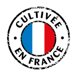 Cultivé en France