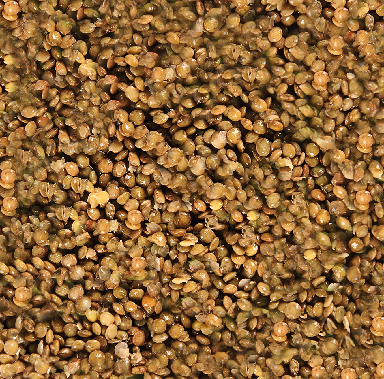 27E165.27D122—Lentille-pois-700g